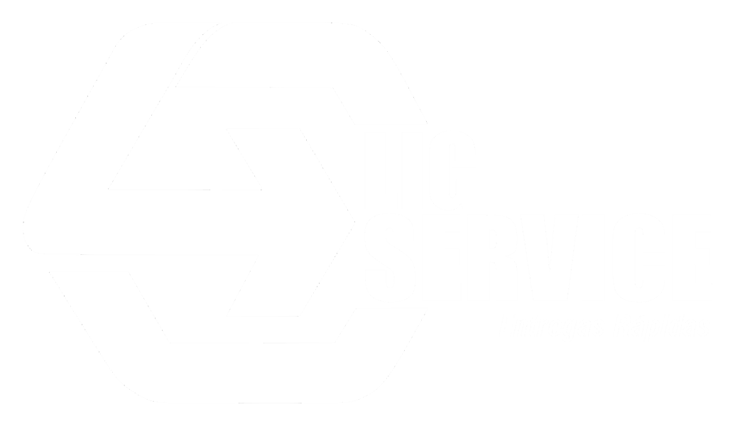 logo Lig Service